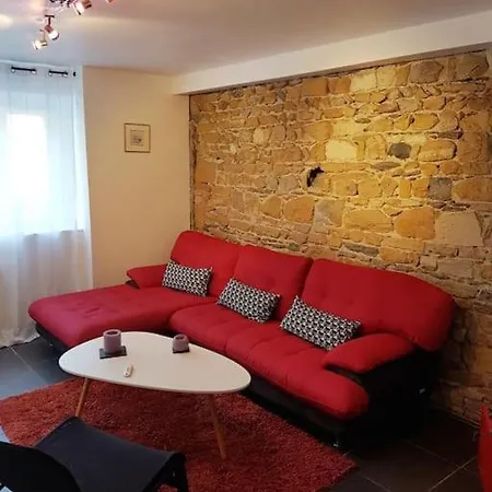 Superbe Duplex, Pentes Croix-rousse, 4eme リヨン